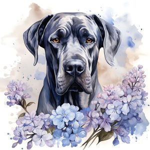 Are hydrangeas poisonous to dogs?