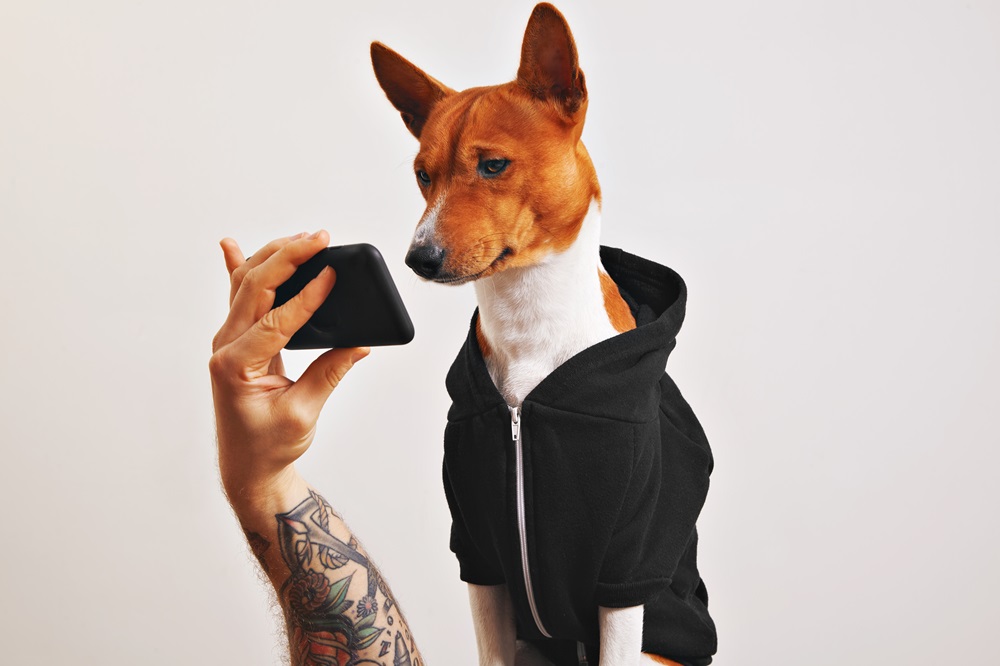 Basenji