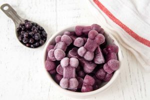 Fruits for Dogs: Benefits and Precautions