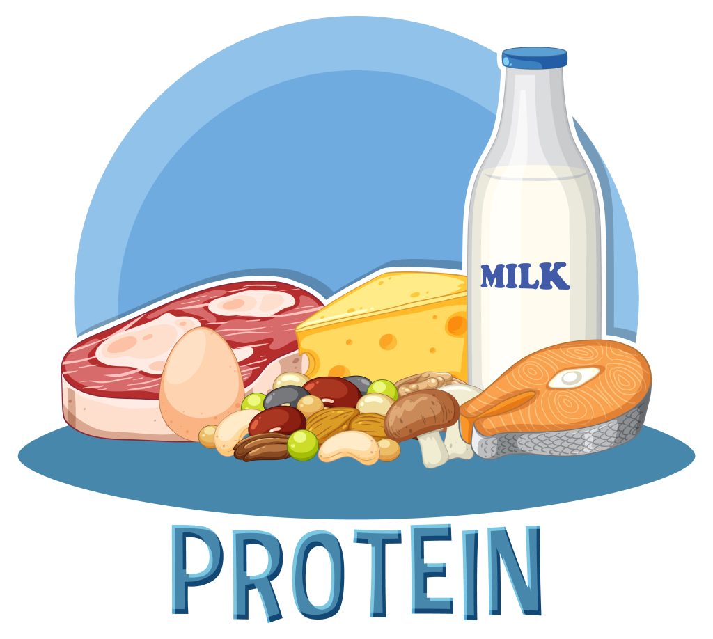 High quality proteins