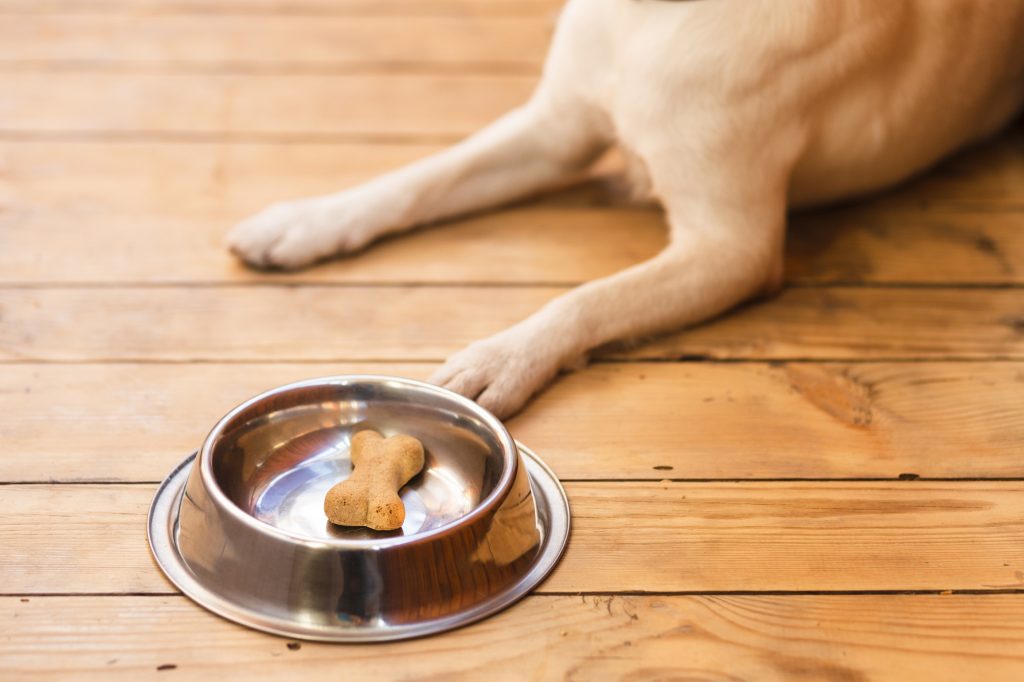 Homemade peanut butter dog treats