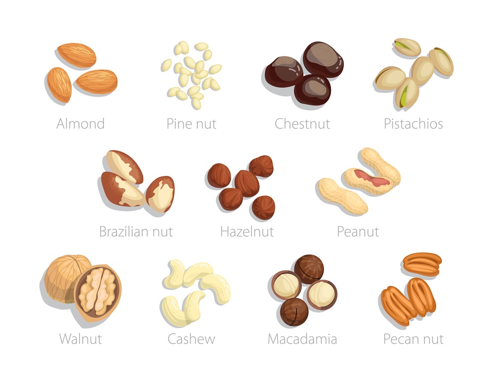 Types of nuts