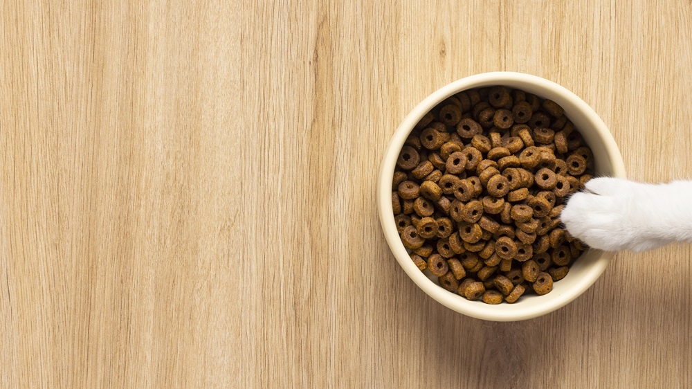 What is hypoallergenic dog food