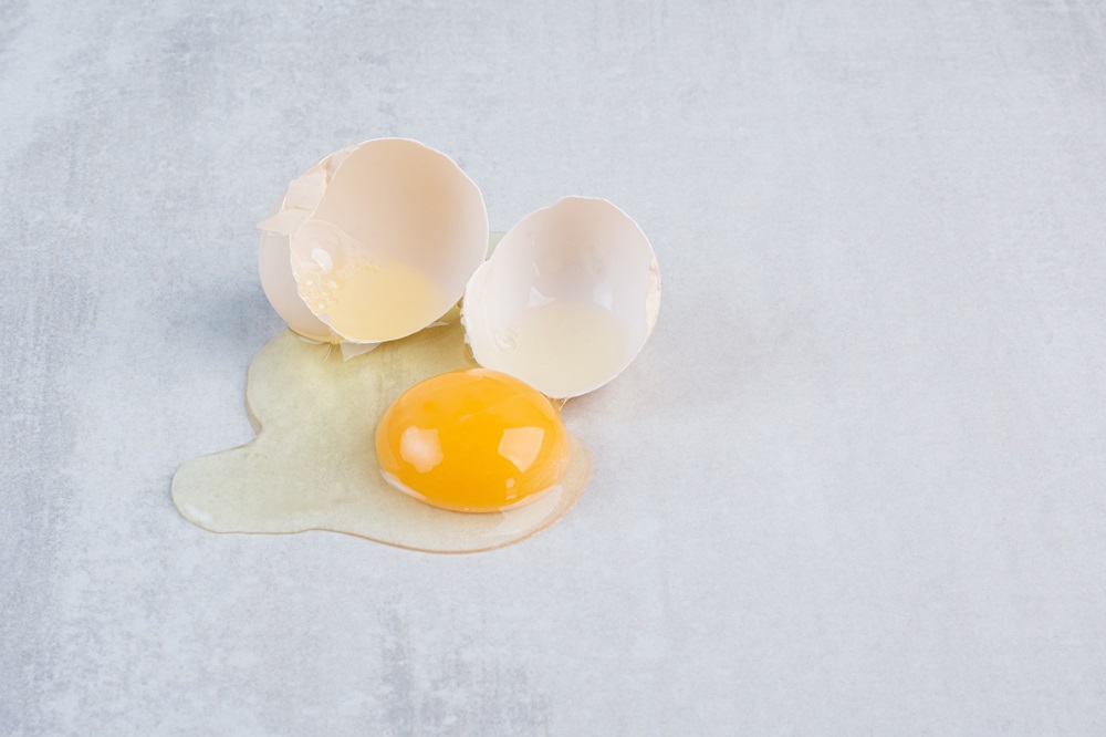 Myth 2 Raw eggs are an excellent source of protein for dogs