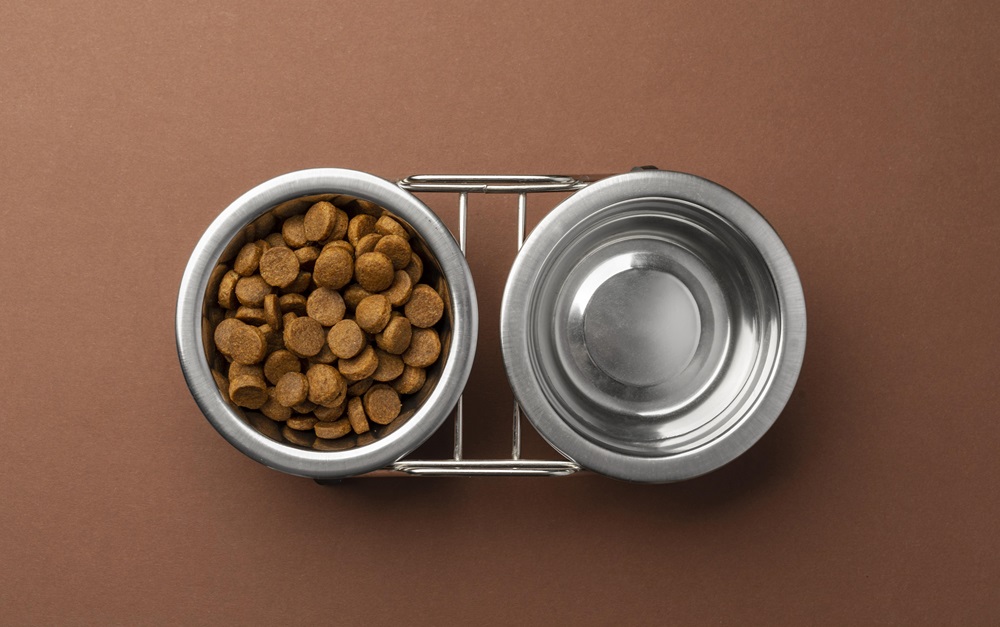 The ideal portion of dog food by calculating the caloric needs